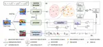 AdaContrast:Contrastive Test-Time Adaptation (CVPR 2022)